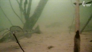 Вернулись половить в КОРЯЖНИКЕ! Судак на ВИБЫ ЗИМОЙ