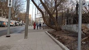 Дворец на Яузе