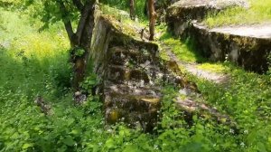 Винница; Ставка Вервольф/Музей Верфольф/Ставка Гитлера