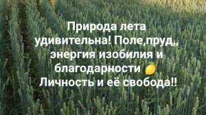 Природа лета удивительна! Поле,пруд,, энергия изобилия и благодарности 🍋 Личность и её свобода!!