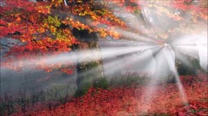 А. Толстой «Осень. Обсыпается весь наш бедный сад…»