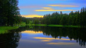 футаж Травушка