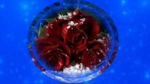 Футаж. Цветы на снегу 16  Footage. Flowers in the snow 16