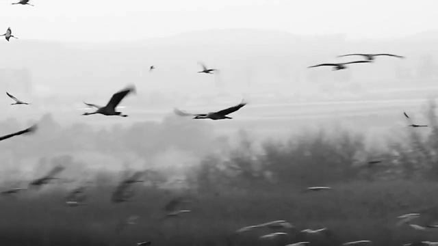 Лунная соната- история создания смотреть онлайн