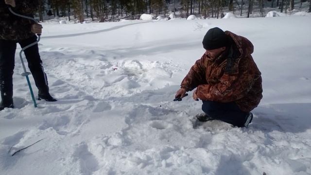 Рыбалка на хариуса / на таёжной реке, 1часть. смотреть онлайн