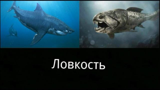 Мегалодон против Дунклеостея