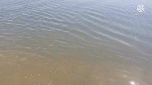 ✅ Азовское море. Пляж - Ясненская переправа. Медузы. Мечты. Саликовы. 9 июля 2021 г.