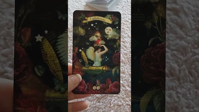 Oracle of the rose : Zera DeRose : flip through.. more info in description box смотреть онлайн