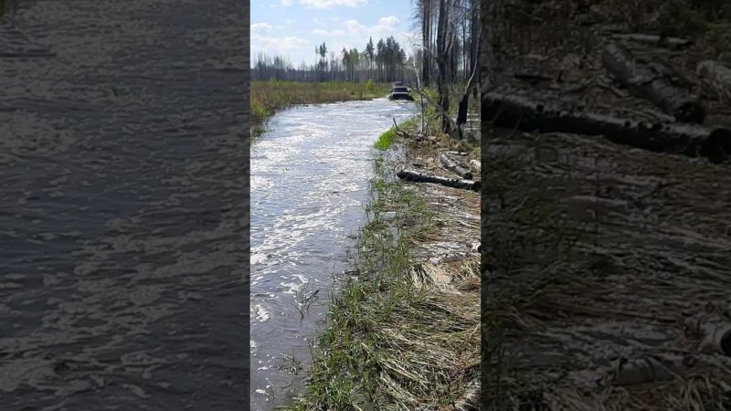 #offroad #бездорожье #нива