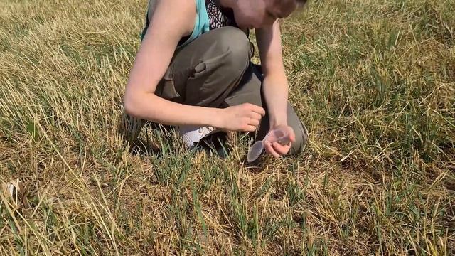 Впервые на улице после спасения! • Ручной дрозд Макс смотреть онлайн