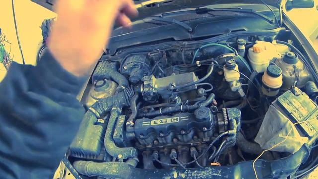 НЕКСИЯ ТРОИТ смотреть онлайн