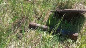 #15 Коп металла на тракторной стоянке