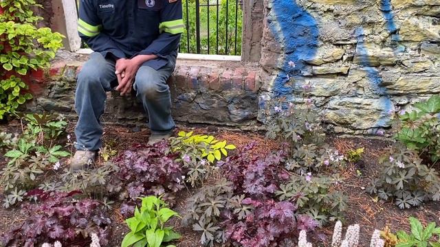 Ruin Garden with Timothy, Mid-May 2020 смотреть онлайн