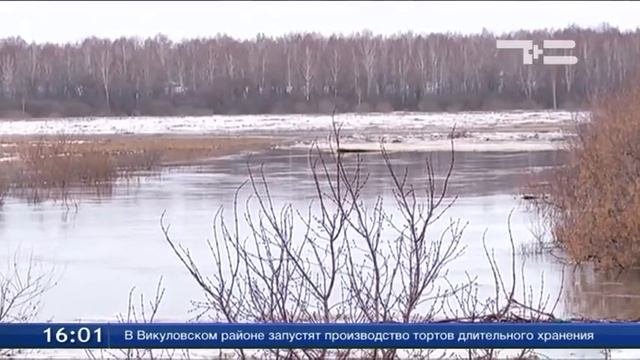 В Голышмановском районе подтоплены несколько населенных пунктов