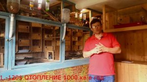 Сколько можно заработать на разведении волнистых попугаях?Сколько стоит содержать мой питомник?