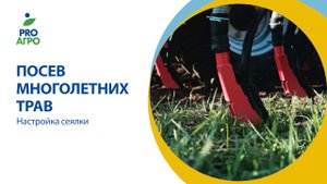 Посев многолетних трав. Настройка сеялки.