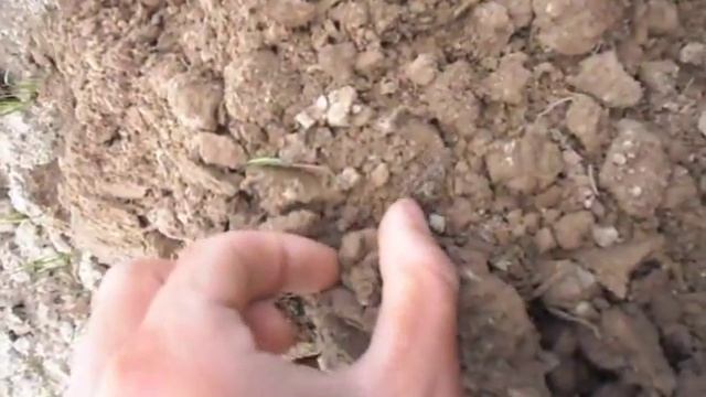 "Сокровища" кладоискателя смотреть онлайн