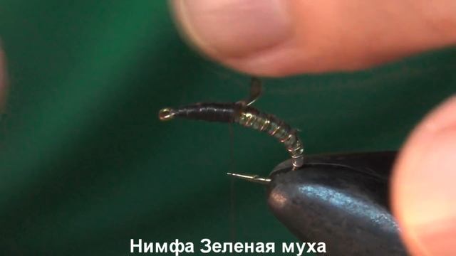 Нимфа Зеленая муха смотреть онлайн