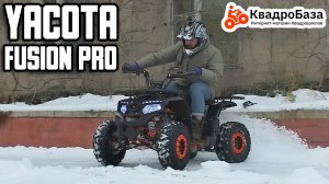 Квадроцикл 125 кубов Yacota Fusion Pro от KvadroBaza.ru