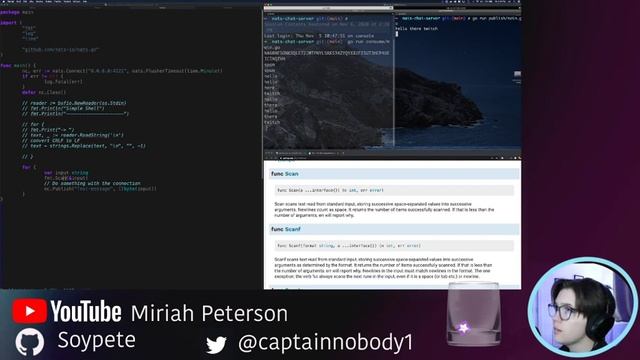 Nats chat bot in #golang смотреть онлайн
