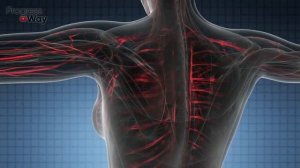 ПОЛЬЗА ЯБЛОЧНОГО УКСУСА