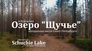 Поход выходного дня в окрестностях Питера. Озеро Щучье в Комарово.