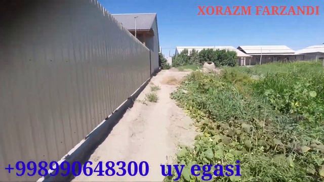 Янгибозор. Срочно жой урин сотилади.