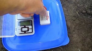 Обзор малины КВЕЛЛИ дегустация сорта