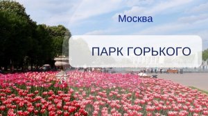 📌 Культурный клуб: заочная экскурсия в Центральный парк им.Горького г.Москва.