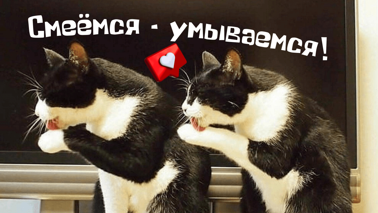 Смеёмся - умываемся!