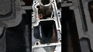 гибрид ветерок и чемпион 340 с выхлопом  в деидвуд и водяным охлаждением.