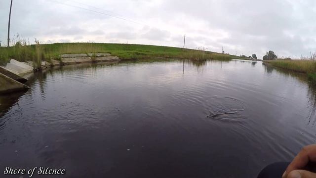 Ведро и садок забиты рыбой. Хорошо что взял кукан. Открытие рыбалки, состоялось!!! смотреть онлайн