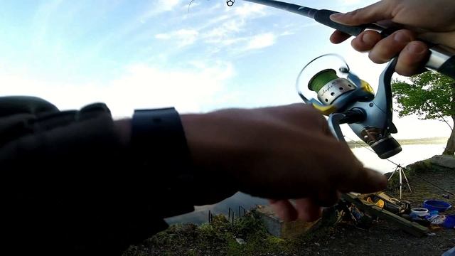 Утренняя рыбалка на фидер весной на заброшенном карьере! Полная разнорыбица смотреть онлайн