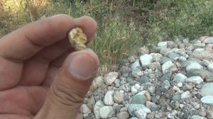 Речные камни смотрю и драгоценные