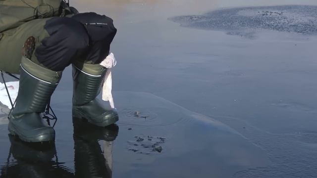 Первый лёд 2023-24 на реке!!! ЩУКА на ЖЕРЛИЦЫ, ОКУНЬ на БАЛАНСИР!!! Рыбалка со льда зимой смотреть онлайн