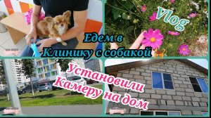 ВЛОГ 🌺 УСТАНОВИЛИ КАМЕРУ. ЕДЕМ К ВРАЧУ С СОБАКОЙ #будни #буднимамы #уборка