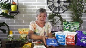 Как вырастить сладкие огурцы ? Лучшая подкормка огурцов