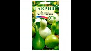 Тыквы. Декоративные и съедобные тыквы,сорта тыкв