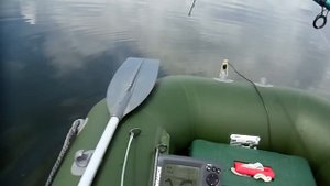 Сом на квок. г. Воронеж.