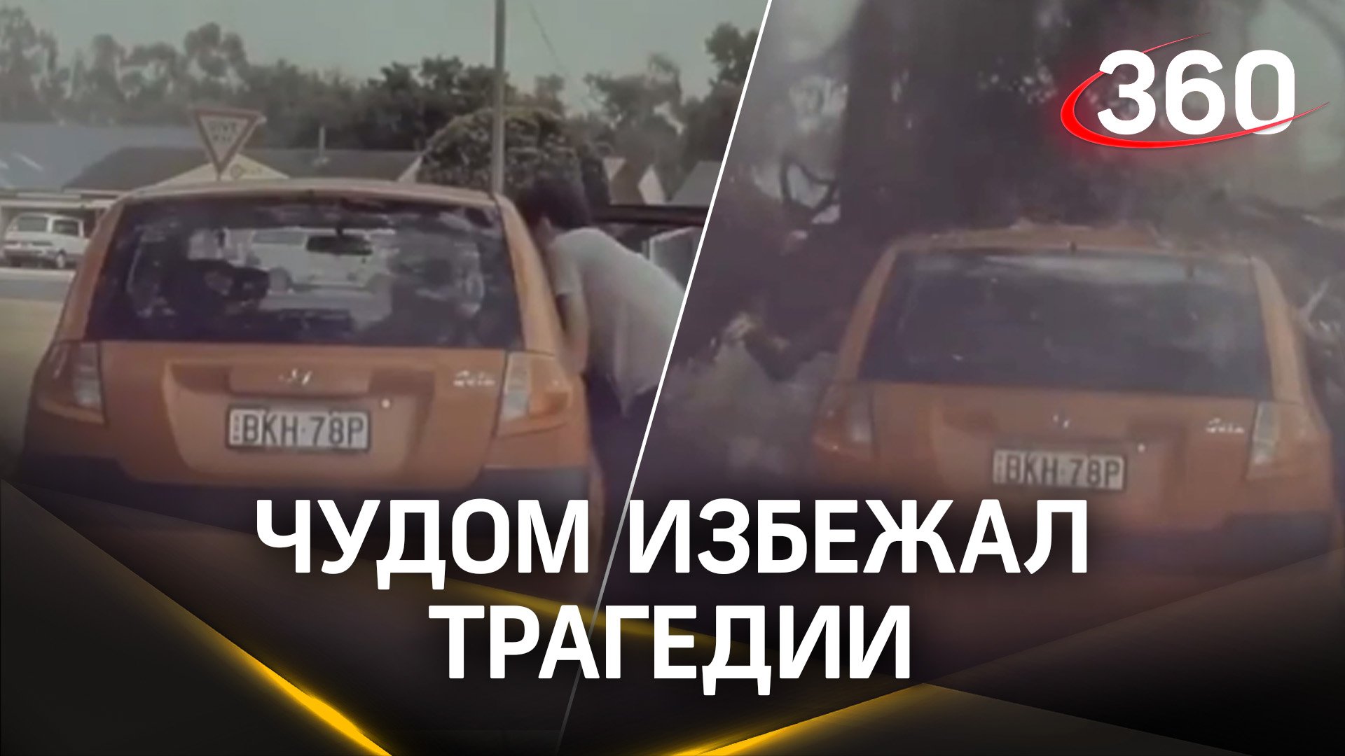 Спасло чудо – мужчина волей случая отошёл от машины, которую придавило дерево