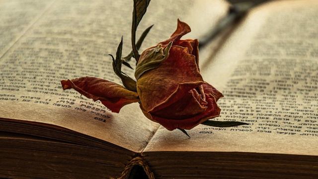 【朗読】『妻のこと』　江戸川乱歩　【青空文庫】 смотреть онлайн