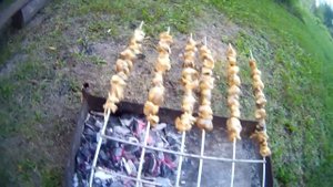 ШАШЛЫК ИЗ ВИНОГРАДНЫХ УЛИТОК. SHISH KEBAB FROM GRAPE SNAILS.