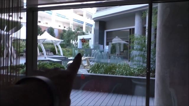 Турция THE SENSE de luxe hotel, баня , сауна , релакс смотреть онлайн