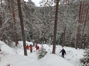 Лыжный поход