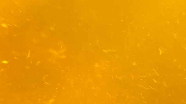 Знатная ловля раков с черничными хуторянами, робот-пылесос в подарок для мамы смотреть онлайн