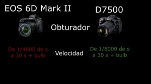 Canon EOS 6D Mark II vs Nikon D7500 en Español en Español | VS Digital