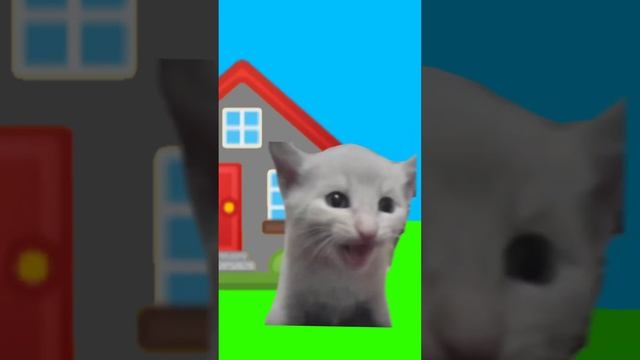 Недели котёнок Shorts (3) смотреть онлайн