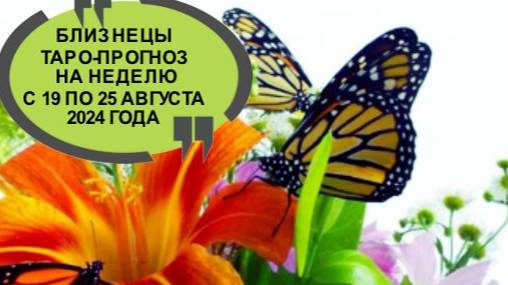 БЛИЗНЕЦЫ ТАРО-ПРОГНОЗ НА НЕДЕЛЮ С 19 ПО 25 АВГУСТА 2024 ГОДА