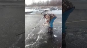 Как поставить вятеря.