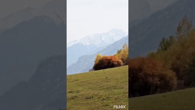 Осенняя сказка,, Тляратинский район,, Красоты природы Тляратинских гор,,, @malalov_6_official